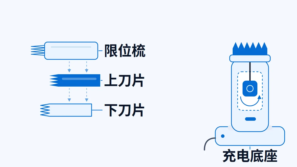 AI生成结构示意：限位梳、上下刀片的分层关系，以及带充电底座的电推剪