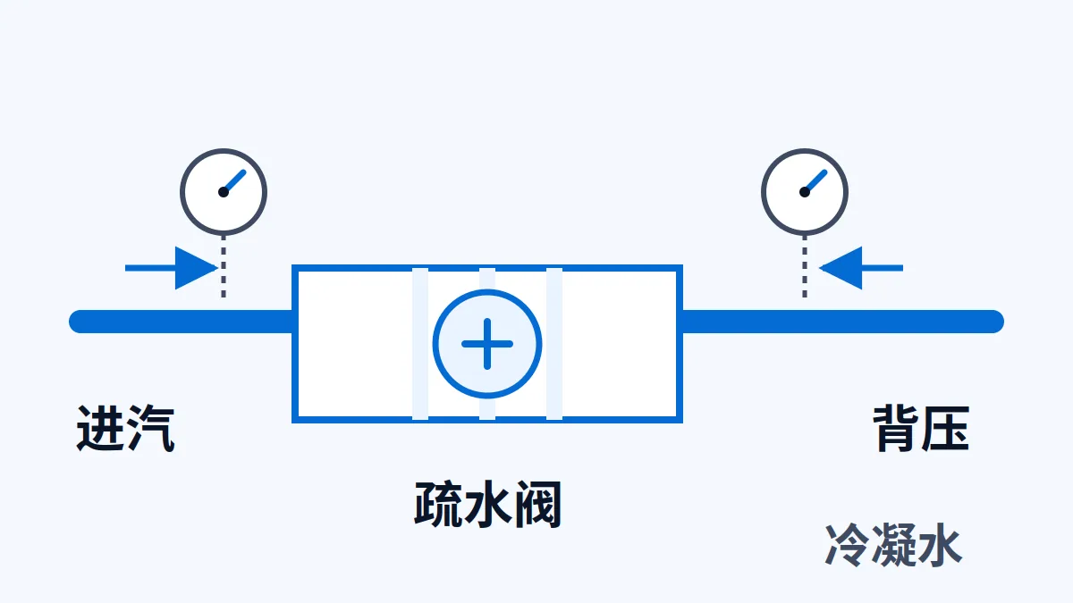 疏水阀进汽、背压与冷凝水排量的关系示意