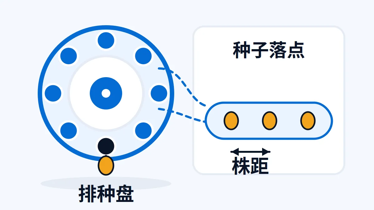 AI 生成示意:玉米精量播种机排种盘与株距关系示意,排种盘孔数与种子落点对应标注