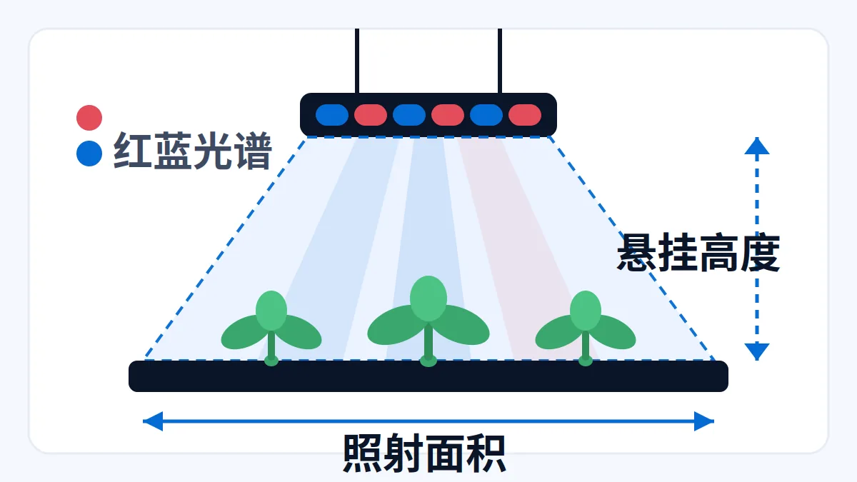 AI 生成示意:植物生长灯悬挂高度与照射面积示意,红蓝光谱标注